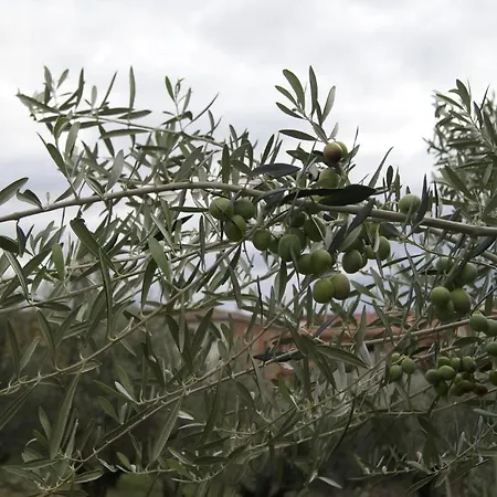 La De Vendégház Oropesa